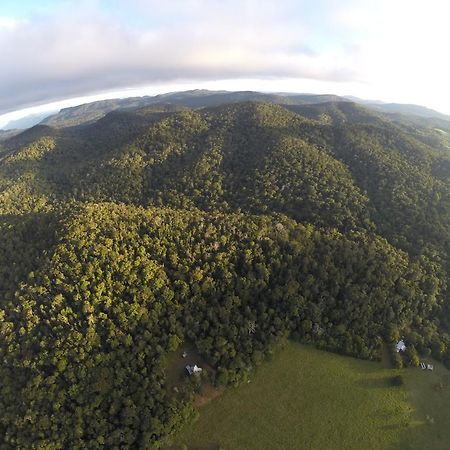 The Jungle Stays Millaa Millaa المظهر الخارجي الصورة